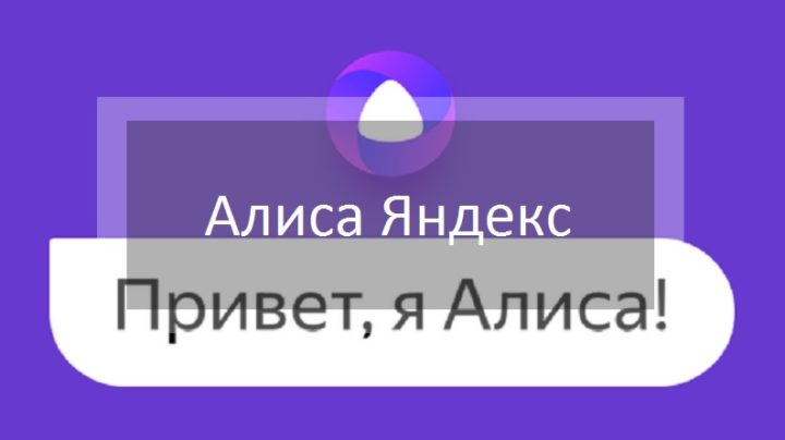 Ой алиса стоп. Привет Алиса привет. Алиса привет Алиса привет Алиса привет. Привет Алиса голосовой помощник. Алиса, Здравствуй Здравствуй.